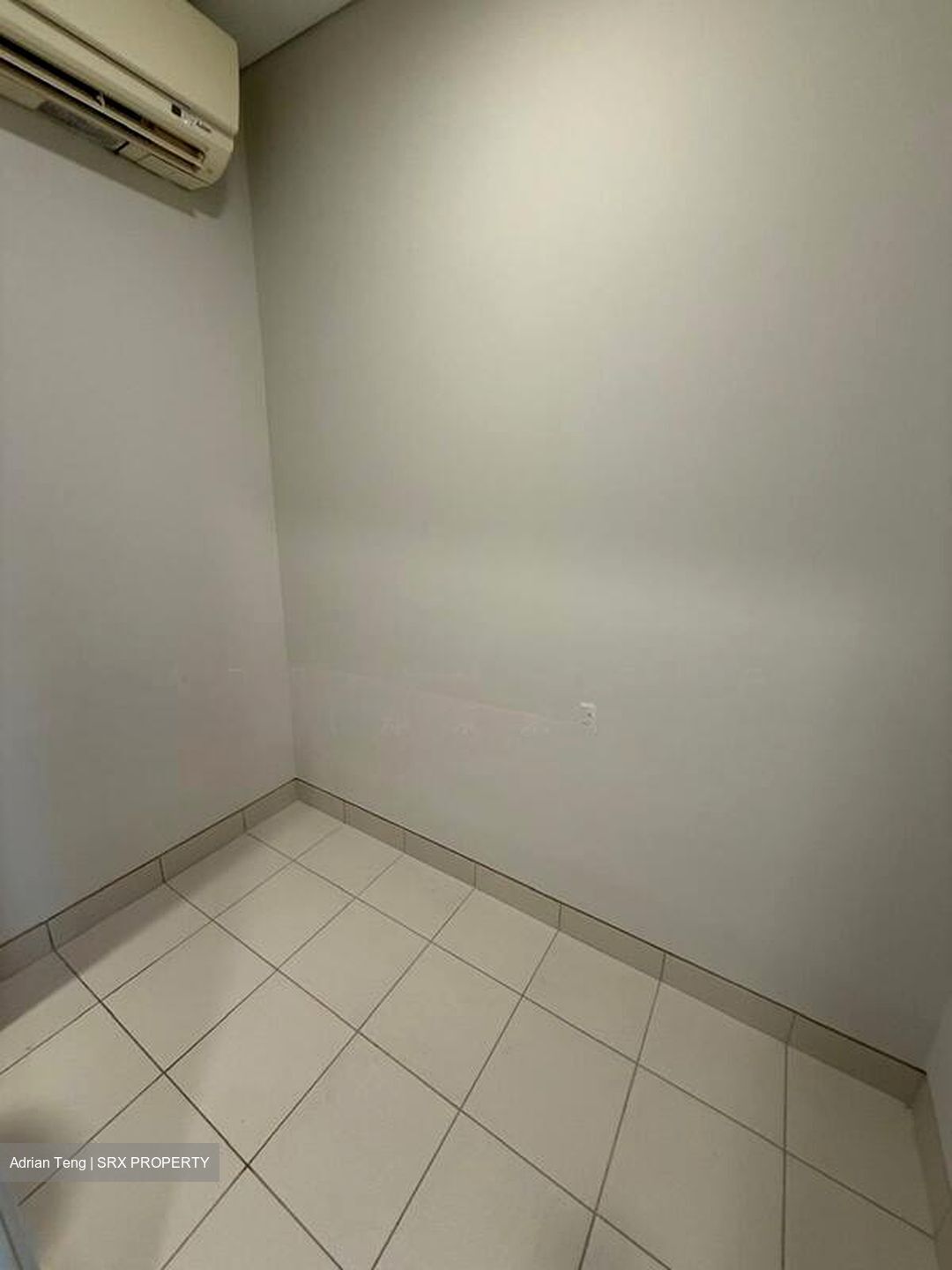 Hana (D10), Condominium #521239631
